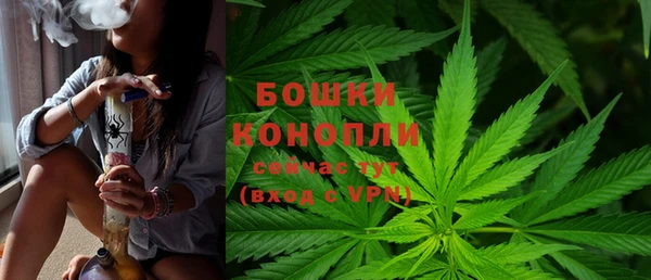 эйфоретик Белокуриха