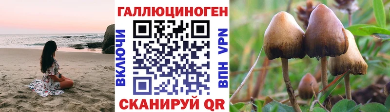 Псилоцибиновые грибы MAGIC MUSHROOMS  закладки  Камень-на-Оби 